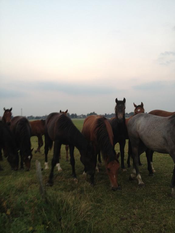 Farm Stay Hof Auf Der Wurp Harrierwurp Eksteriør bilde