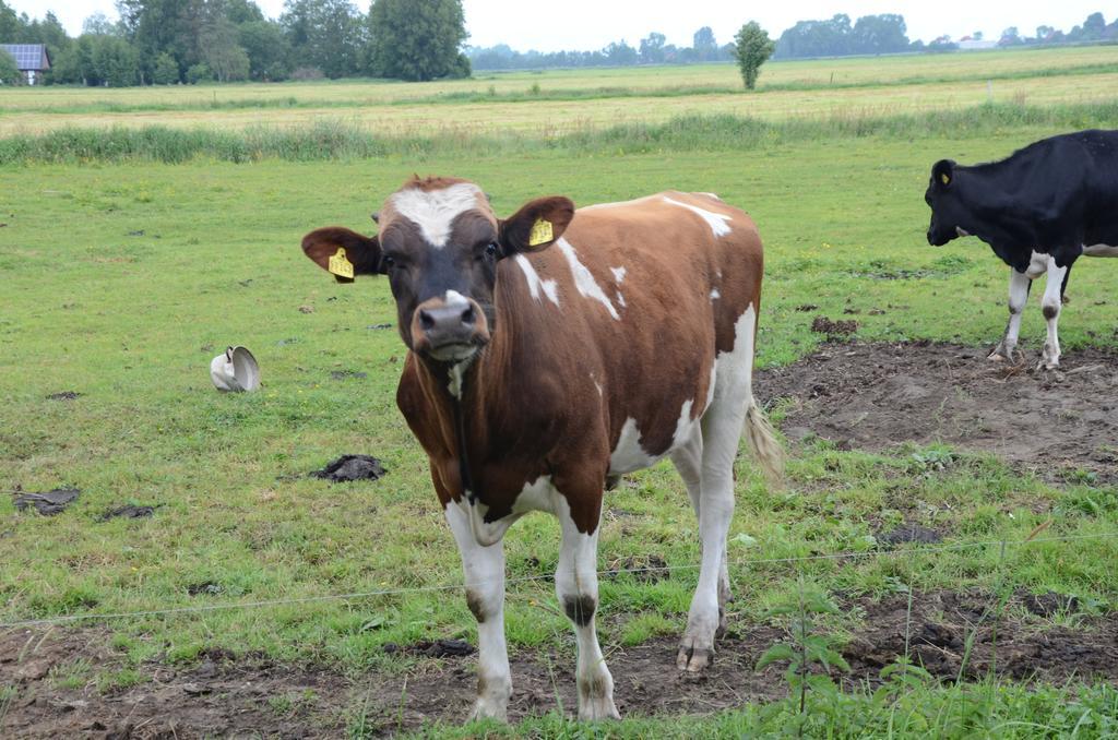 Farm Stay Hof Auf Der Wurp Harrierwurp Eksteriør bilde